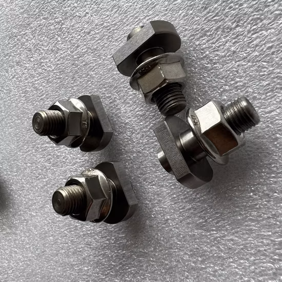 Customized Made High Precise Titanium Bolt